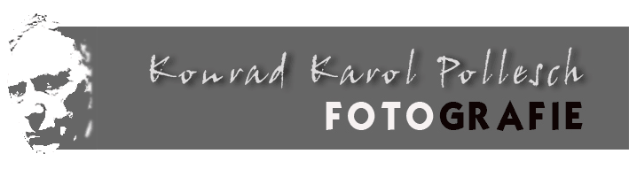 Konrad Karol Pollesch